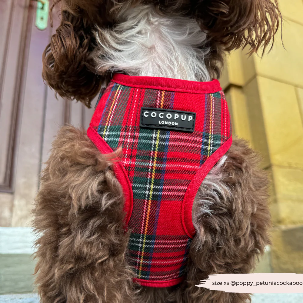 Tartan Adjustable Neck HARNESS - Image 13