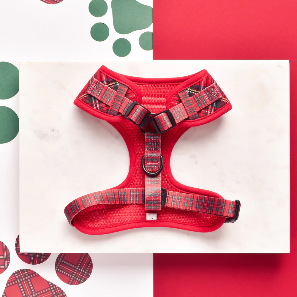 Tartan Adjustable Neck HARNESS - Image 2