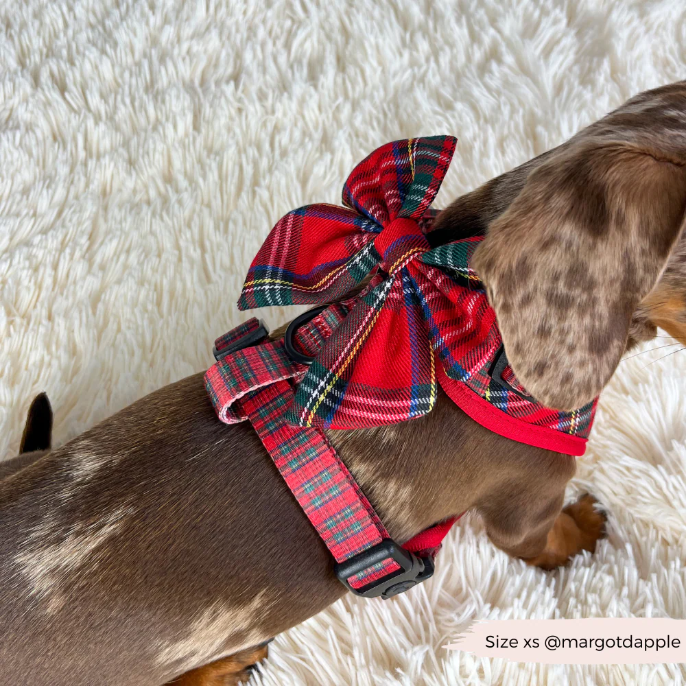 Tartan Adjustable Neck HARNESS - Image 20