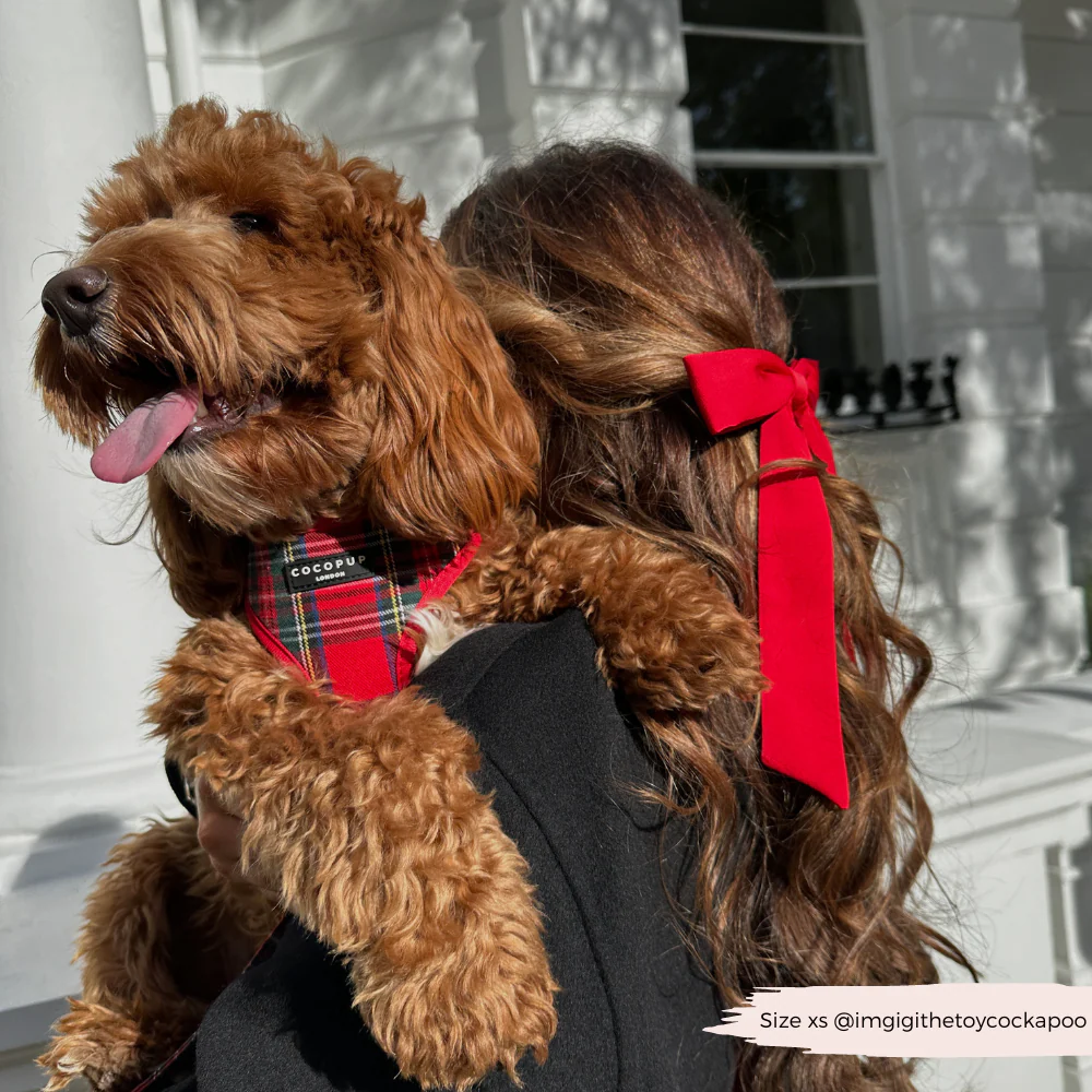 Tartan Adjustable Neck HARNESS - Image 24