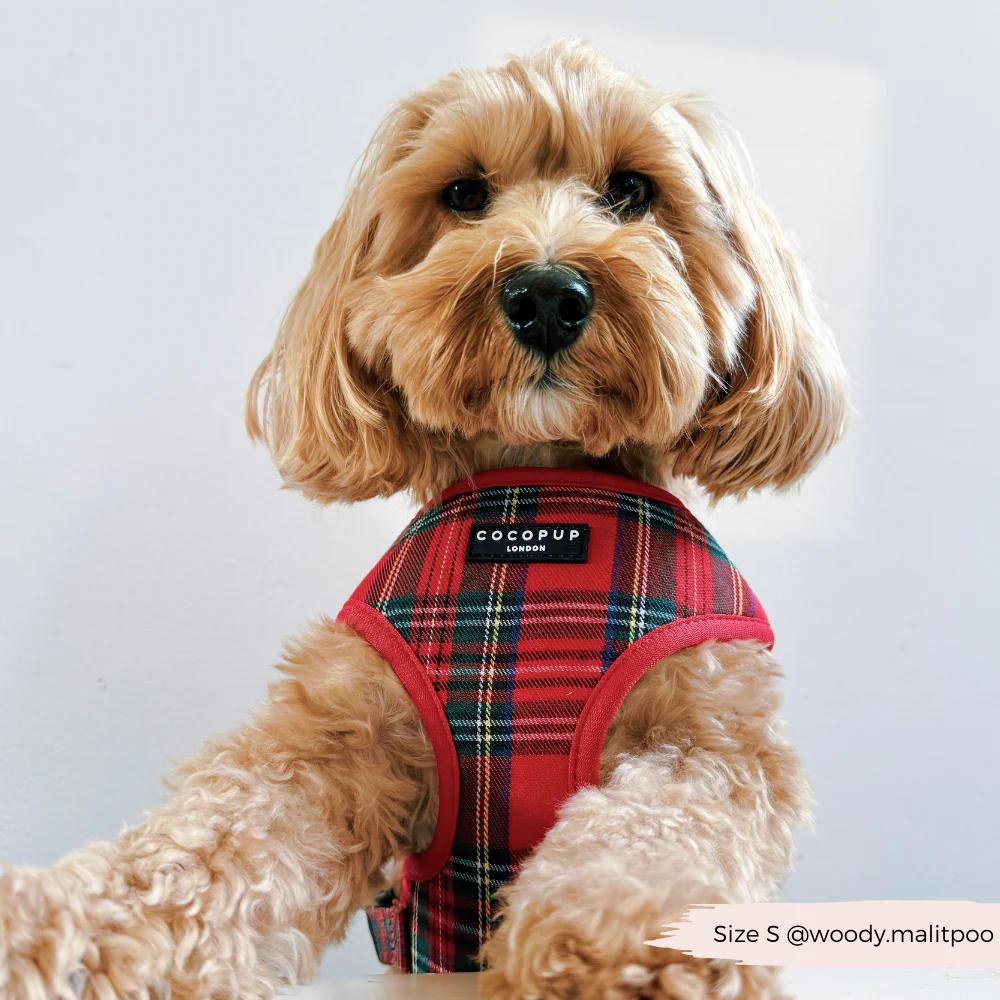 Tartan Adjustable Neck HARNESS - Image 6