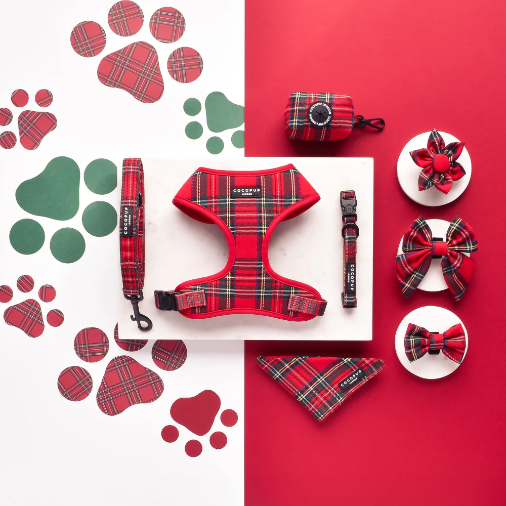 Tartan Bow Tie - Image 3