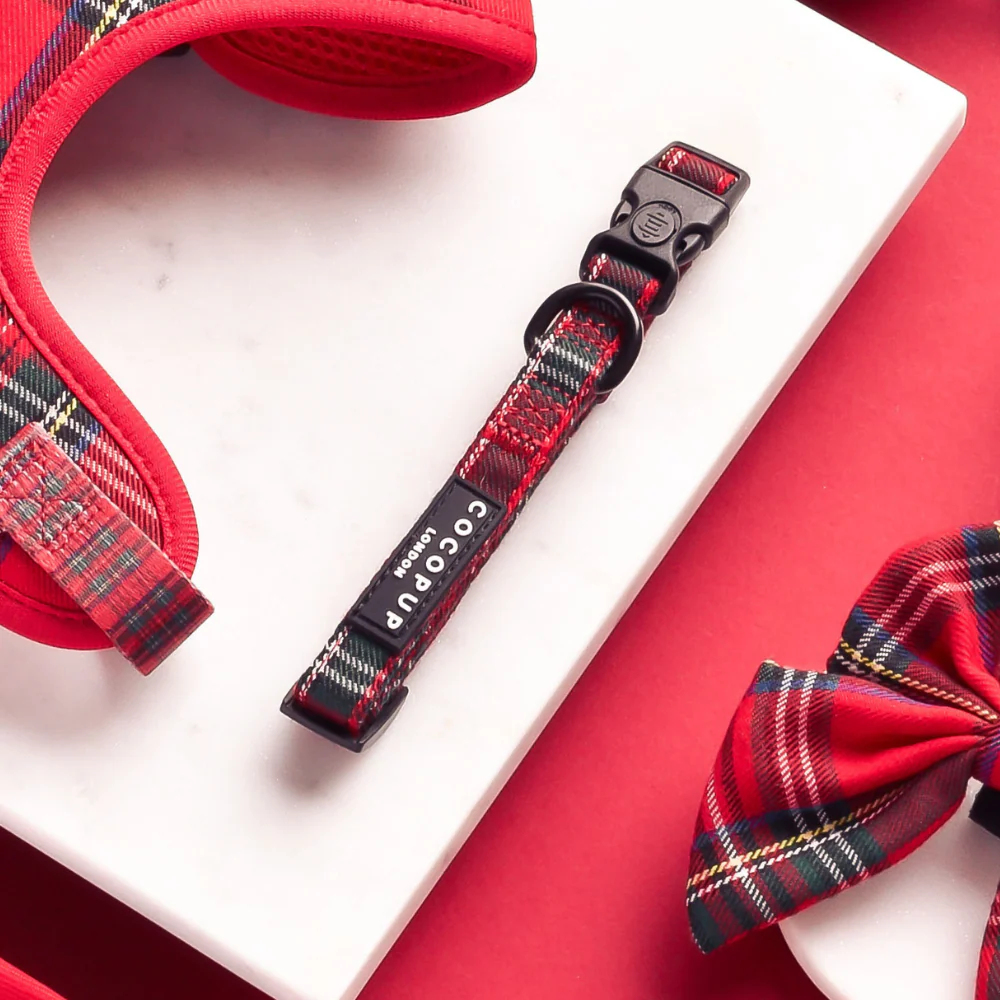Tartan COLLAR - Image 2