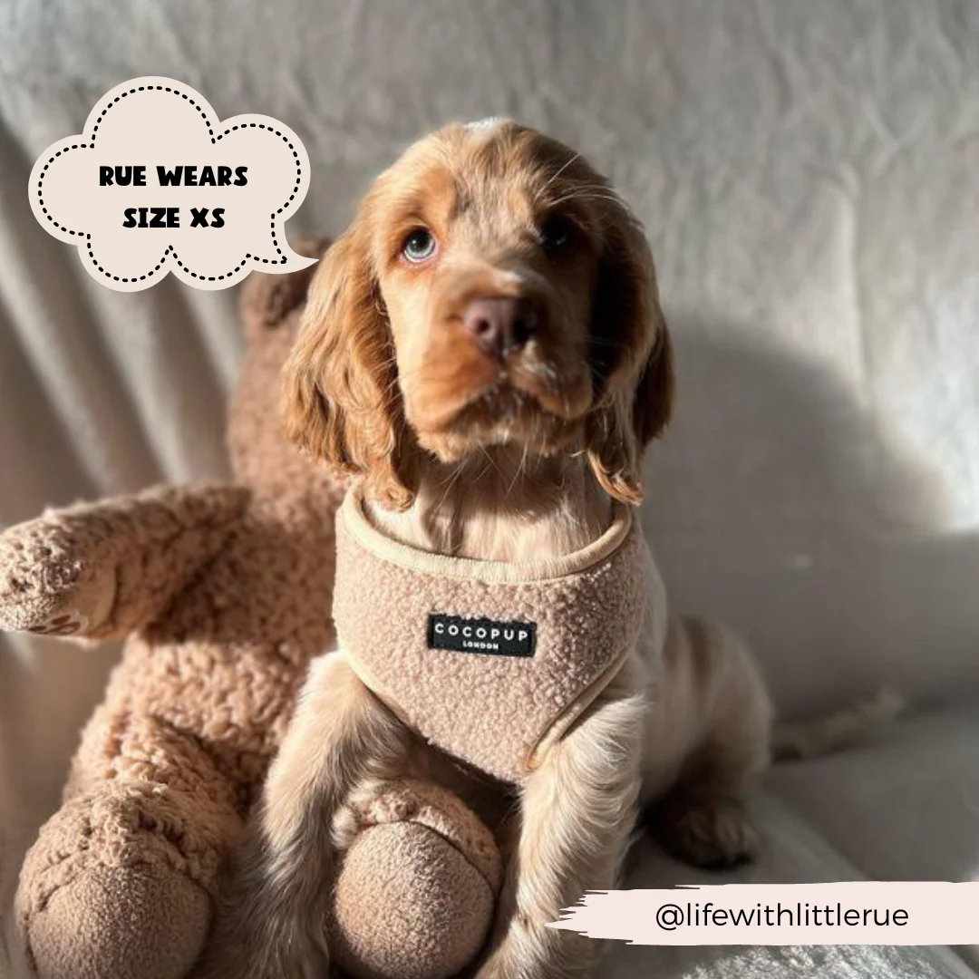 Teddy Adjustable Neck HARNESS - Rupert - Image 8