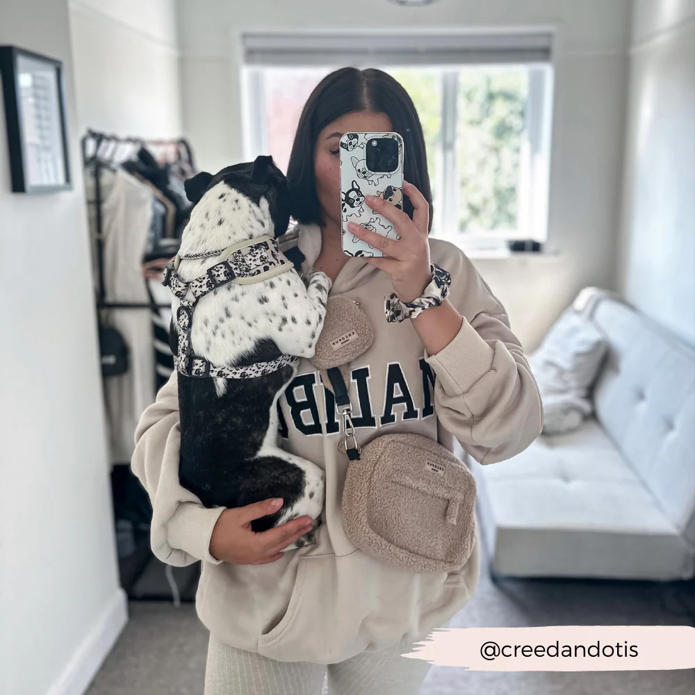 Dog Walking Bag - Teddy Rupert - Image 10