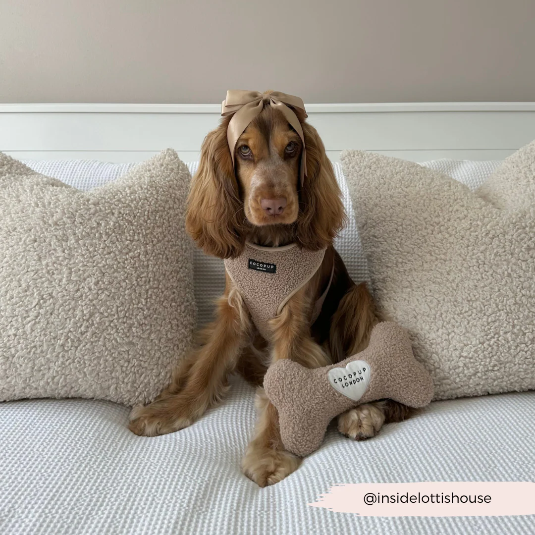 Teddy Rupert Bone Toy - Image 11
