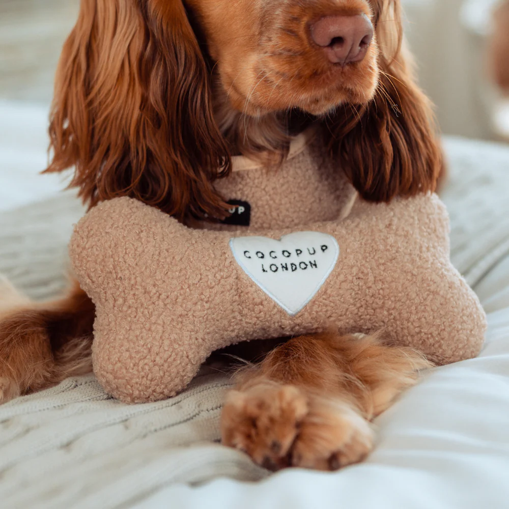 Teddy Rupert Bone Toy - Image 3