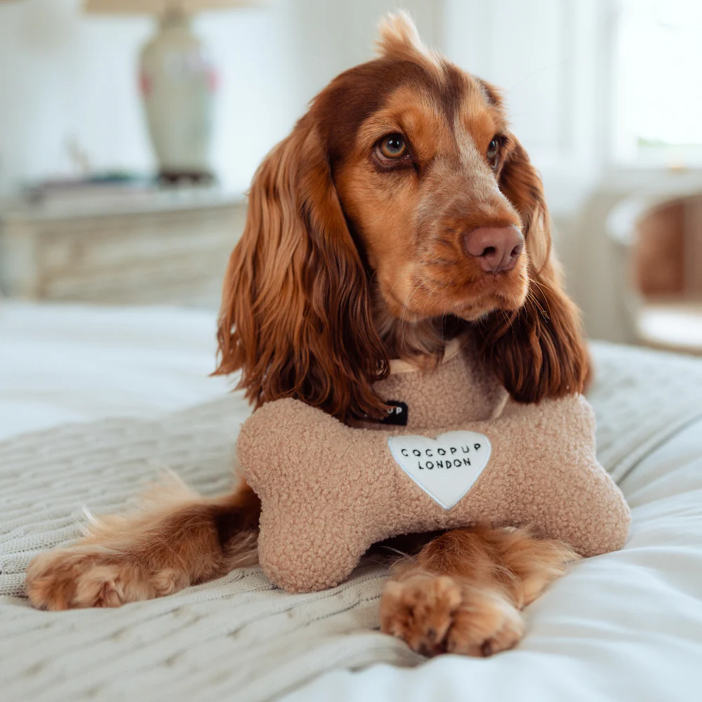 Teddy Rupert Bone Toy - Image 5