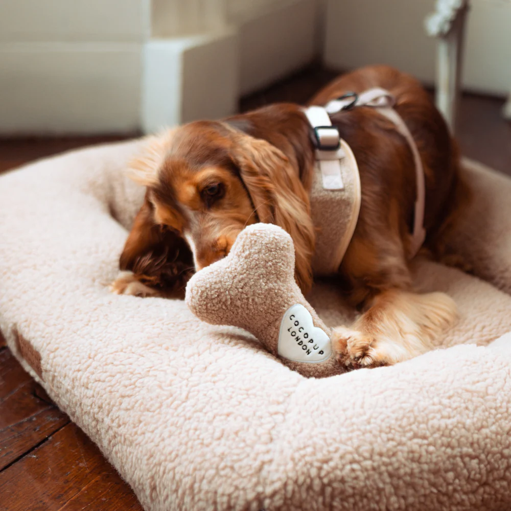Teddy Rupert Bone Toy - Image 6