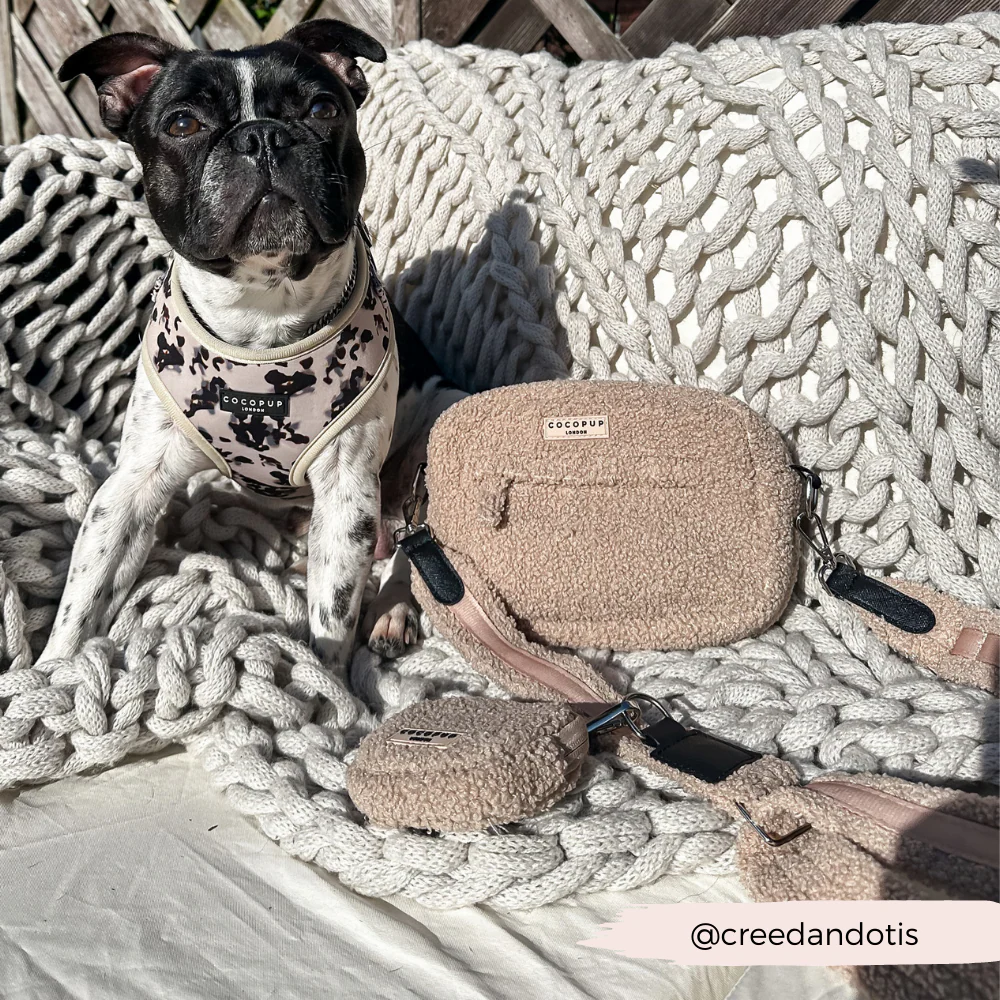 Teddy Rupert Dog Walking Bag Bundle - Image 10