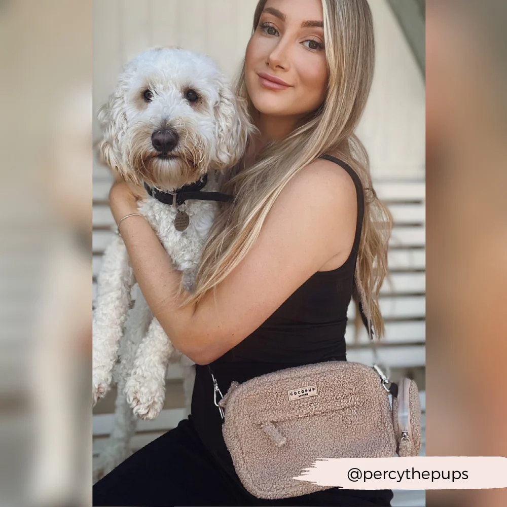 Teddy Rupert Dog Walking Bag Bundle - Image 11