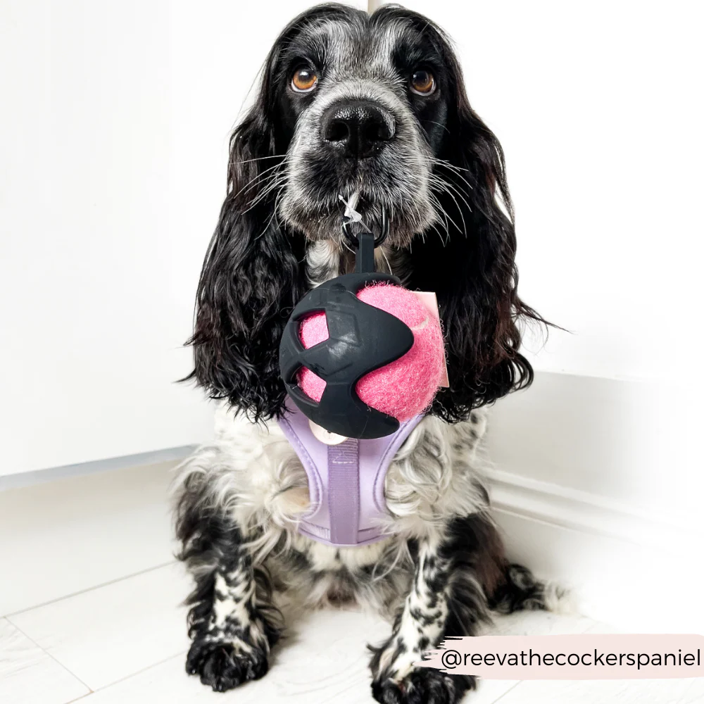 Tennis Ball - Playful Pink - Image 7