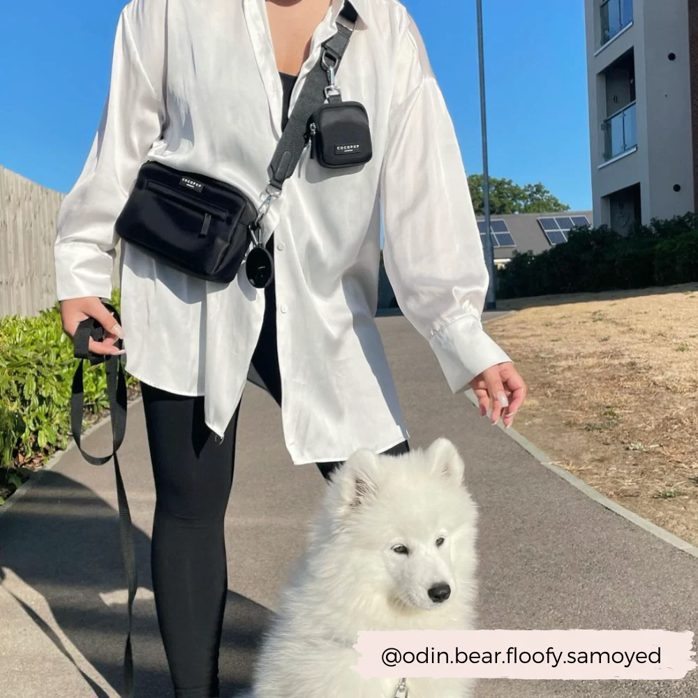 "The Everything" Dog Walking Bag Bundle - Black - Image 11