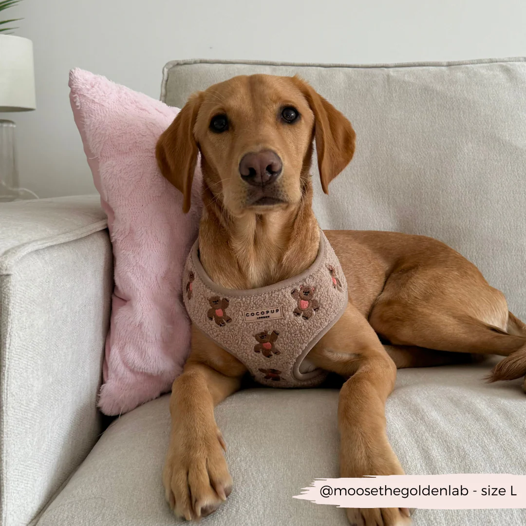 Theo Embroidered Teddy Adjustable Neck HARNESS - Image 12