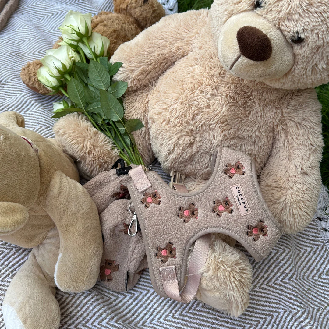 Theo Embroidered Teddy Adjustable Neck Harness, Lead & Collar Bundle - Image 14