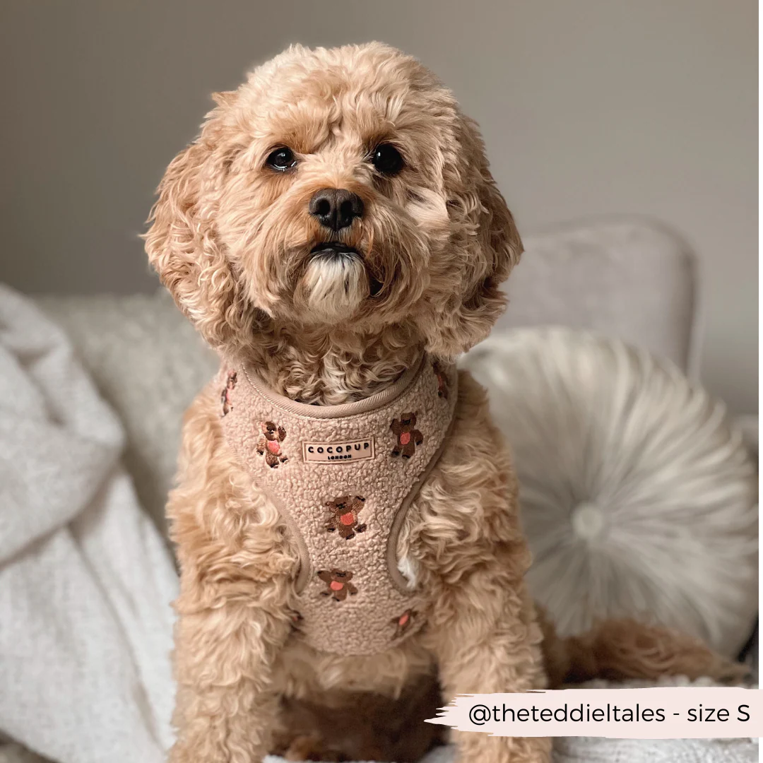 Theo Embroidered Teddy Adjustable Neck Harness, Lead & Collar Bundle - Image 16