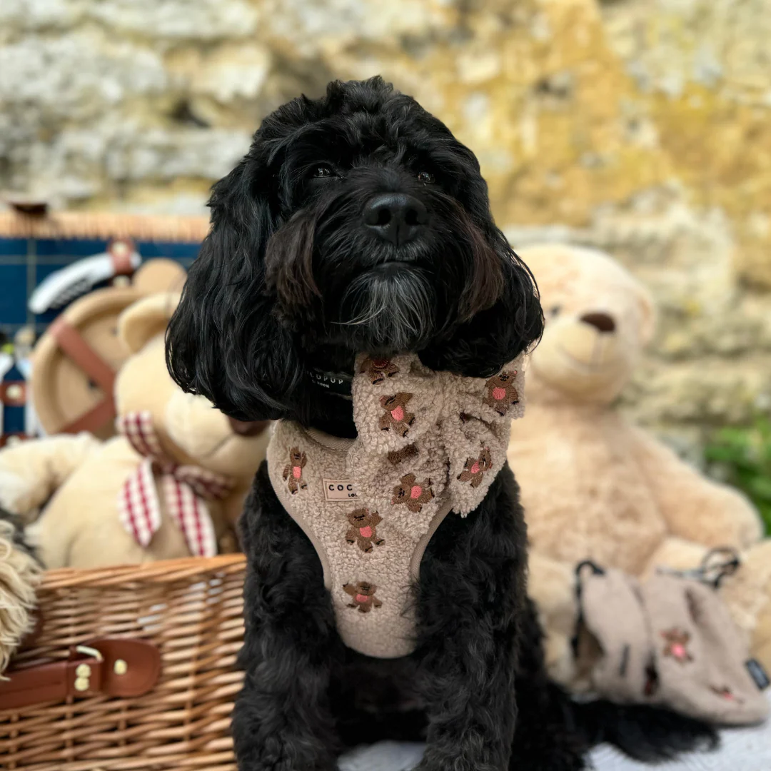 Theo Embroidered Teddy Adjustable Neck Harness, Lead & Collar Bundle - Image 7