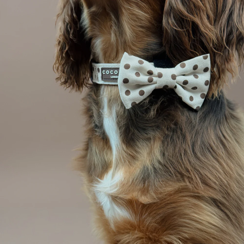 Tiramisu Polka Dot Bow Tie - Image 4