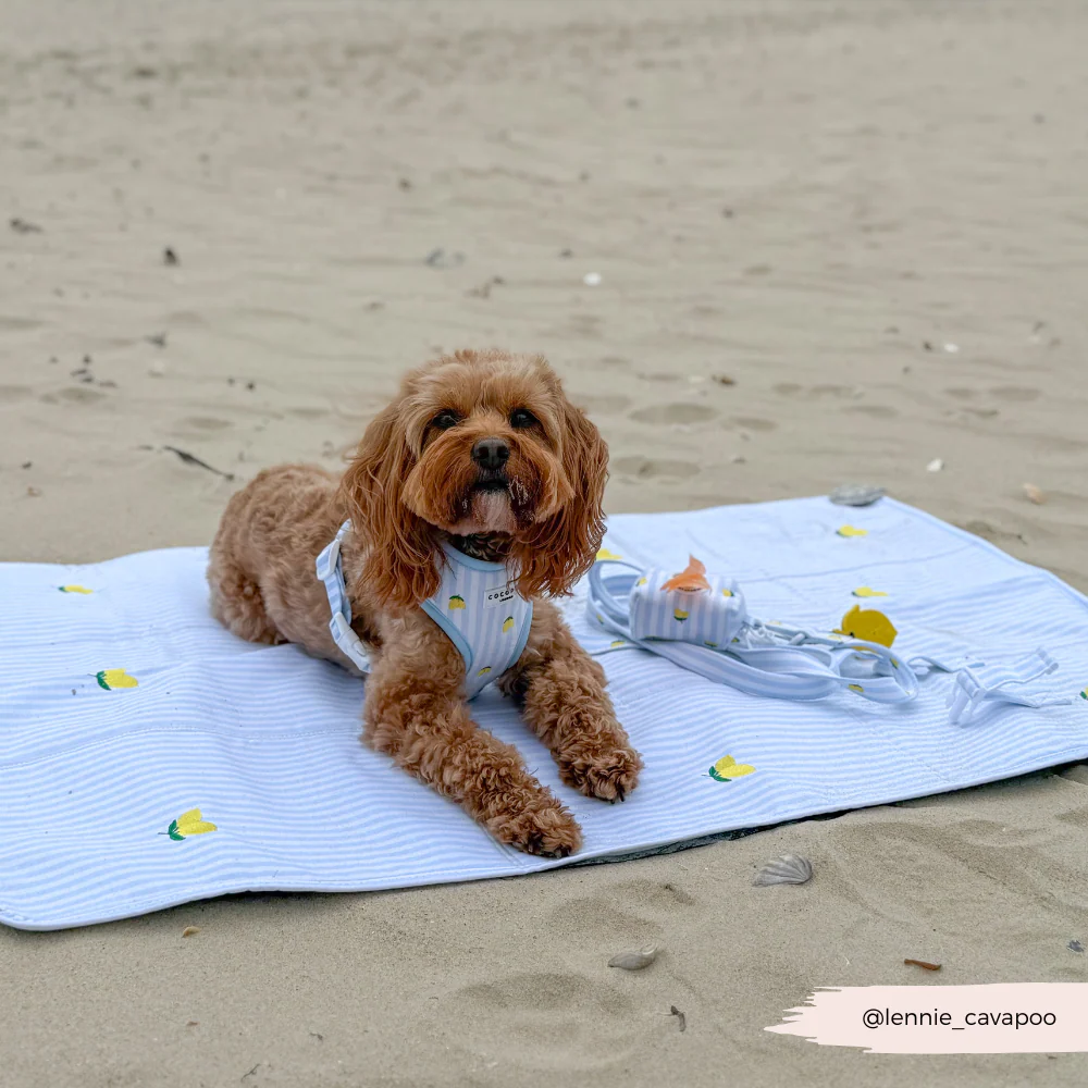 Travel Mat & Blanket Set - Living La Vida Lemon - Image 11