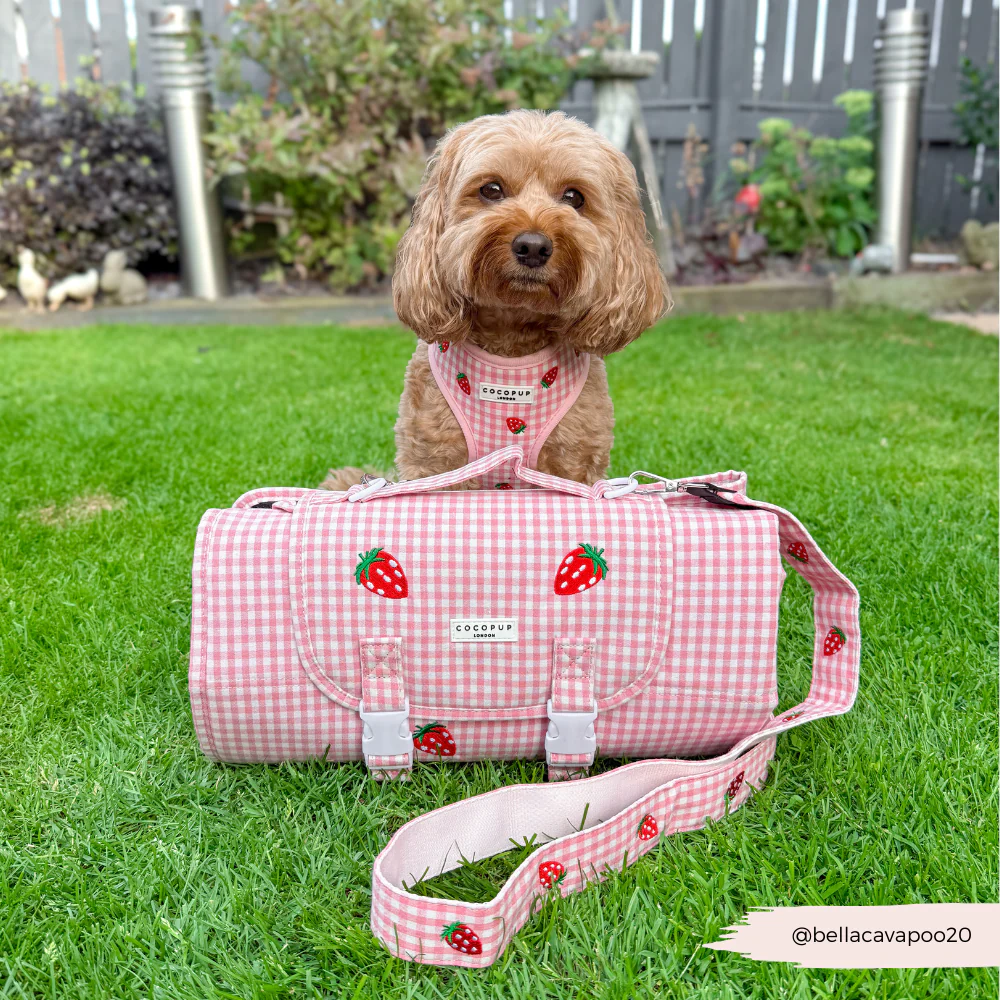 Travel Mat & Blanket Set - Strawberry Picnic Pup - Image 7