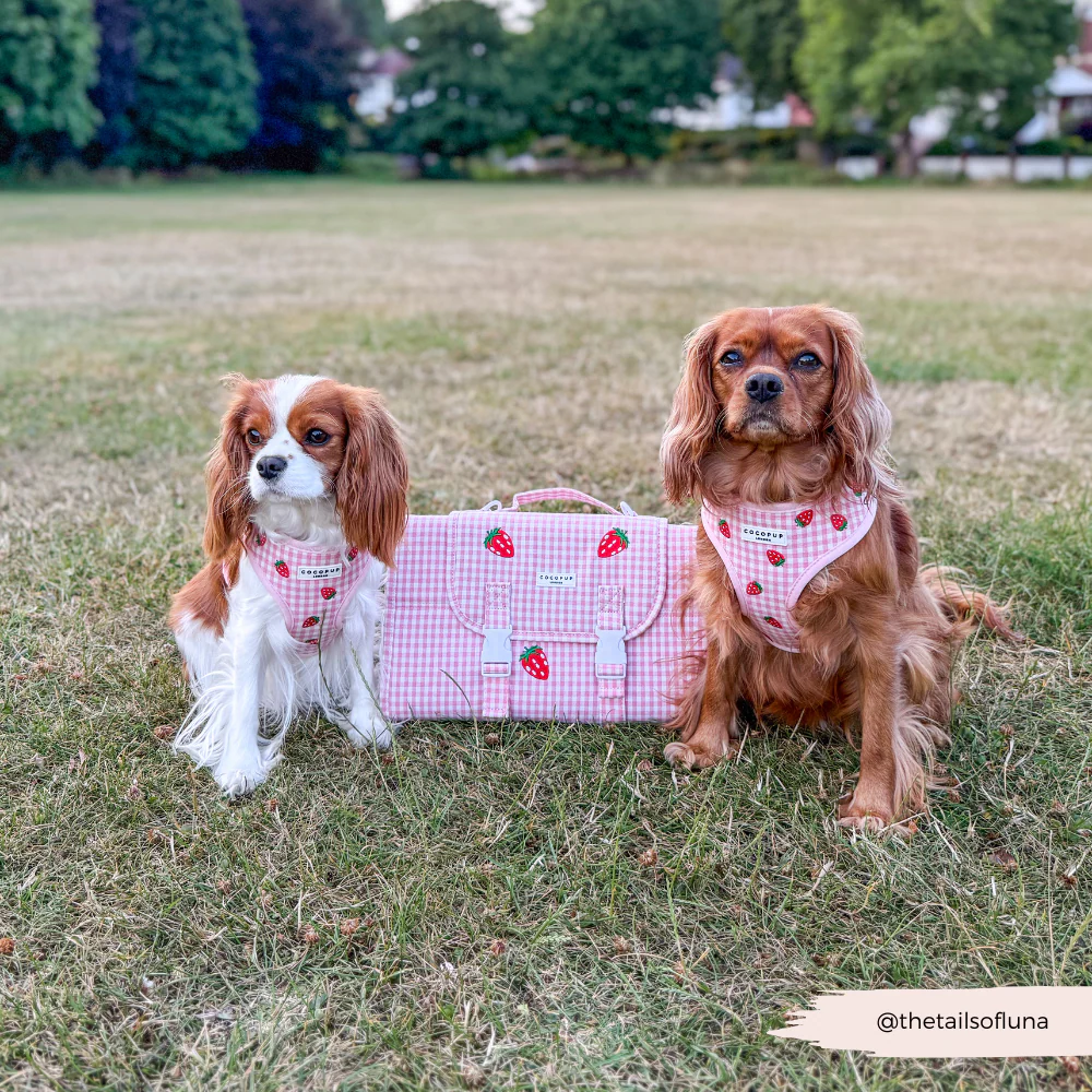 Travel Mat & Blanket Set - Strawberry Picnic Pup - Image 8