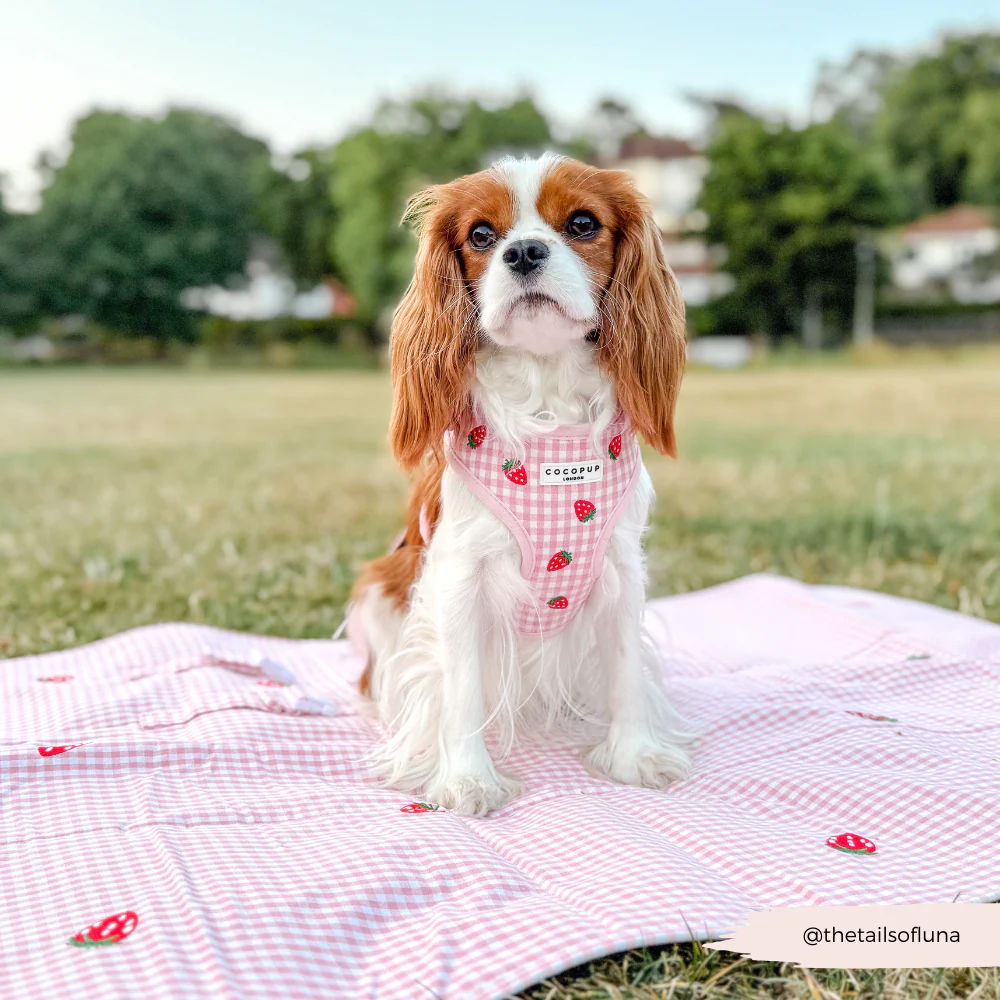 Travel Mat & Blanket Set - Strawberry Picnic Pup - Image 10