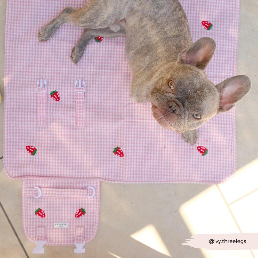 Travel Mat & Blanket Set - Strawberry Picnic Pup - Image 11