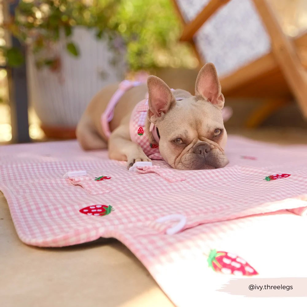Travel Mat & Blanket Set - Strawberry Picnic Pup - Image 13