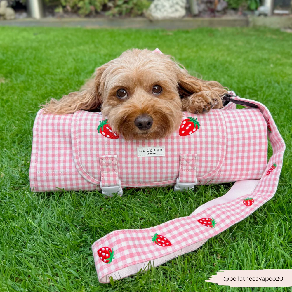 Travel Mat & Blanket Set - Strawberry Picnic Pup - Image 14