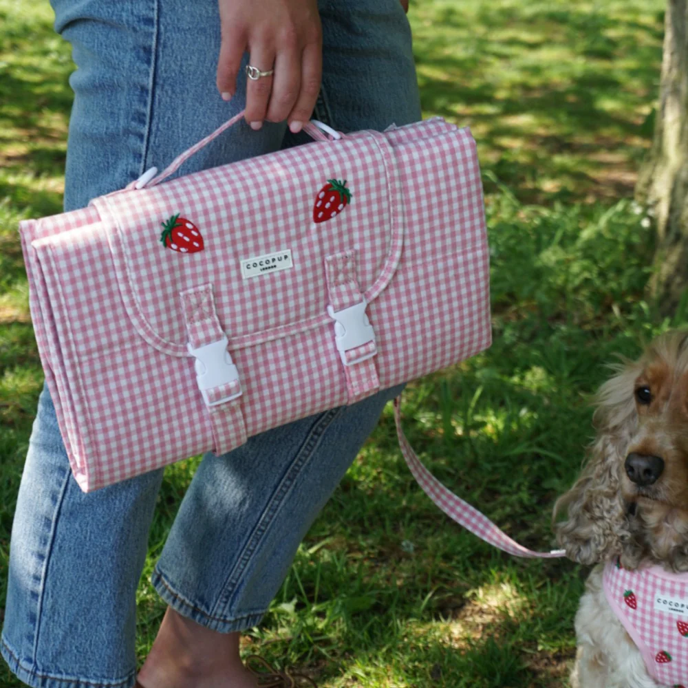 Travel Mat & Blanket Set - Strawberry Picnic Pup - Image 19