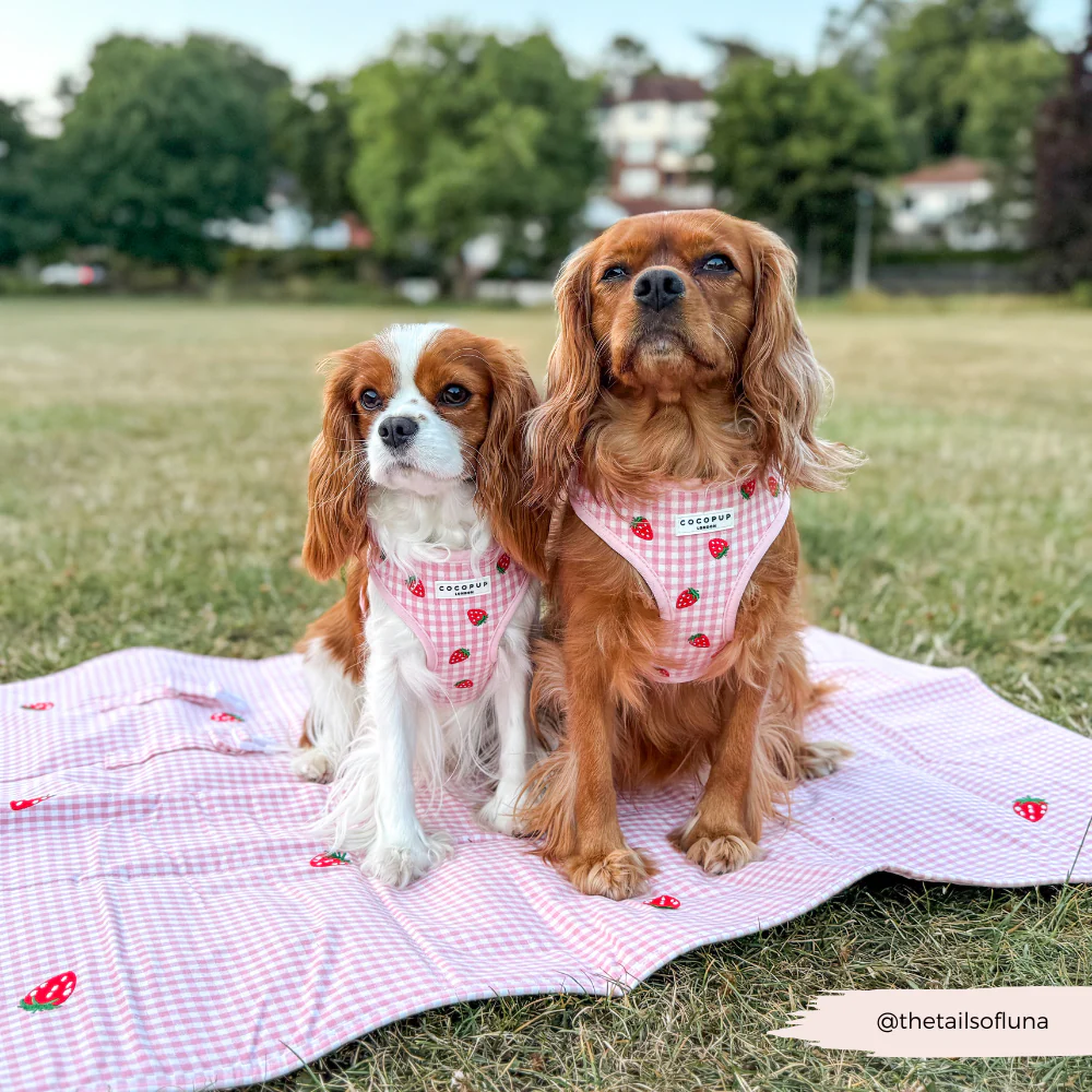 Travel Mat & Blanket Set - Strawberry Picnic Pup - Image 9