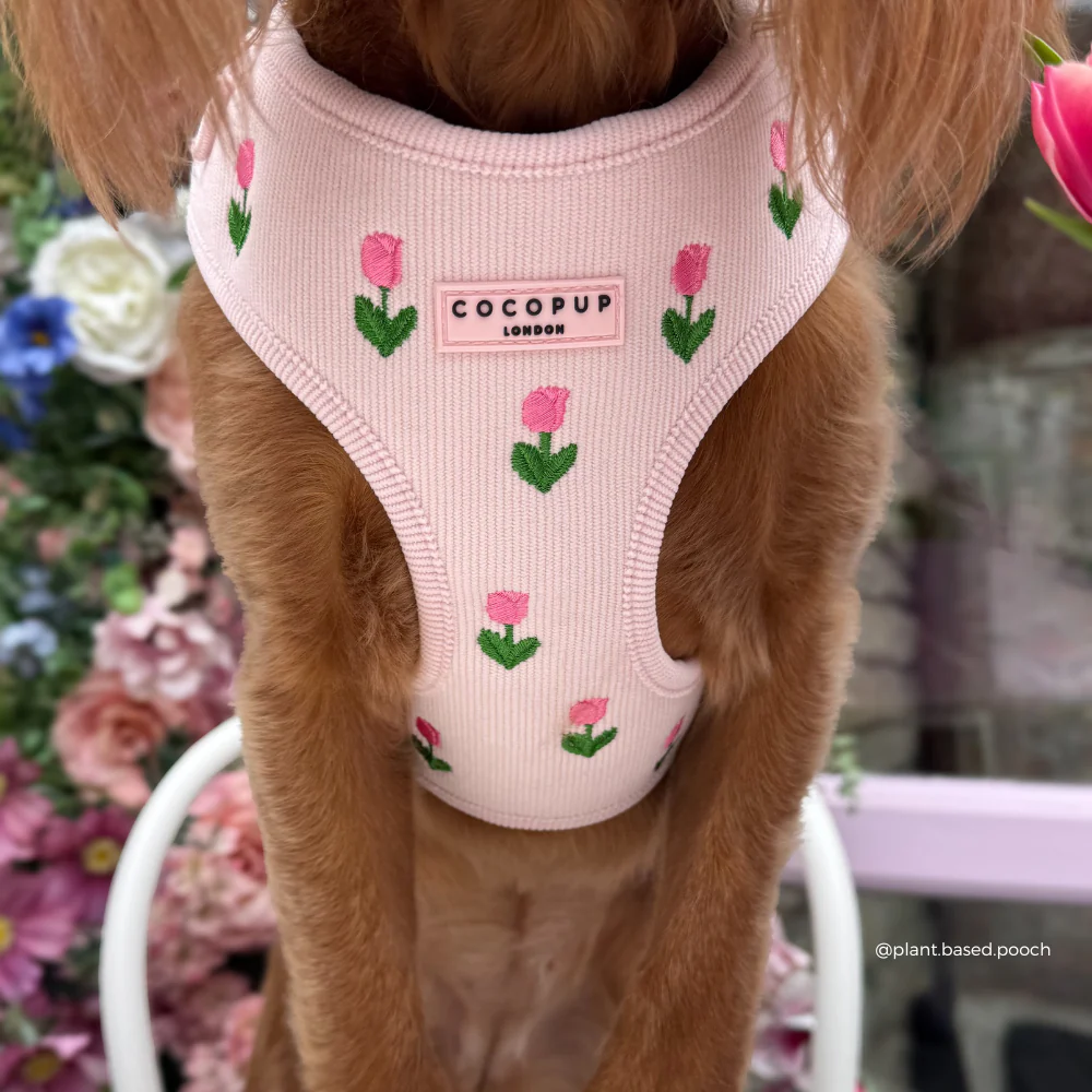 Tulip Tails Adjustable Neck HARNESS - Image 4
