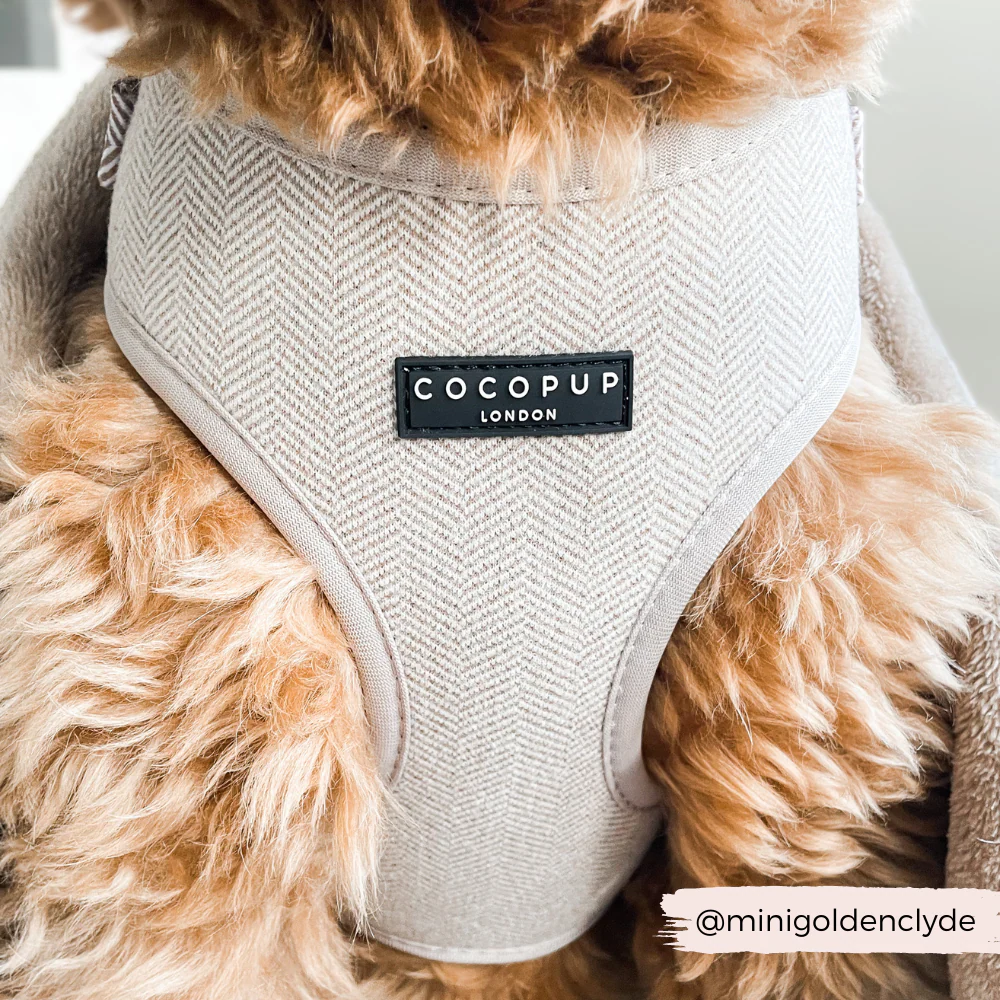 Brown Tweed Adjustable Neck HARNESS - Image 10