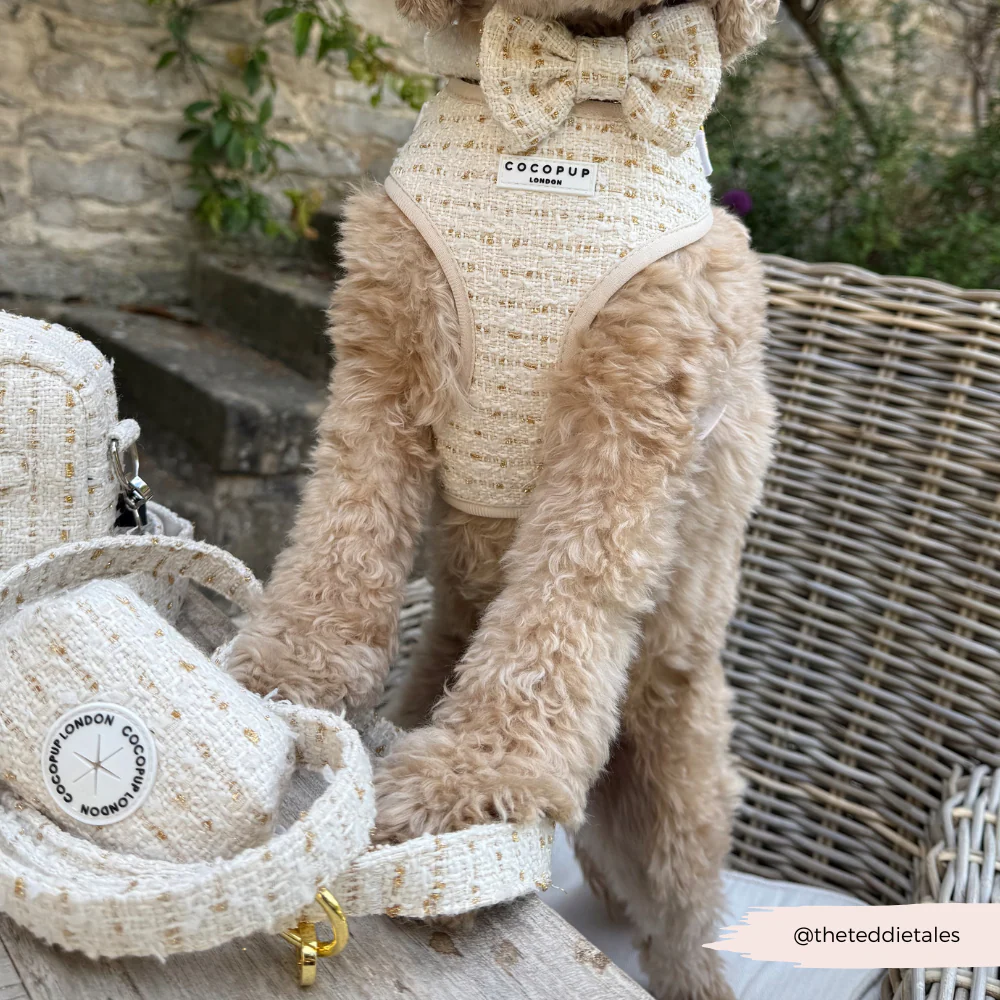 Vanilla Textured Tweed Adjustable Neck HARNESS - Image 8