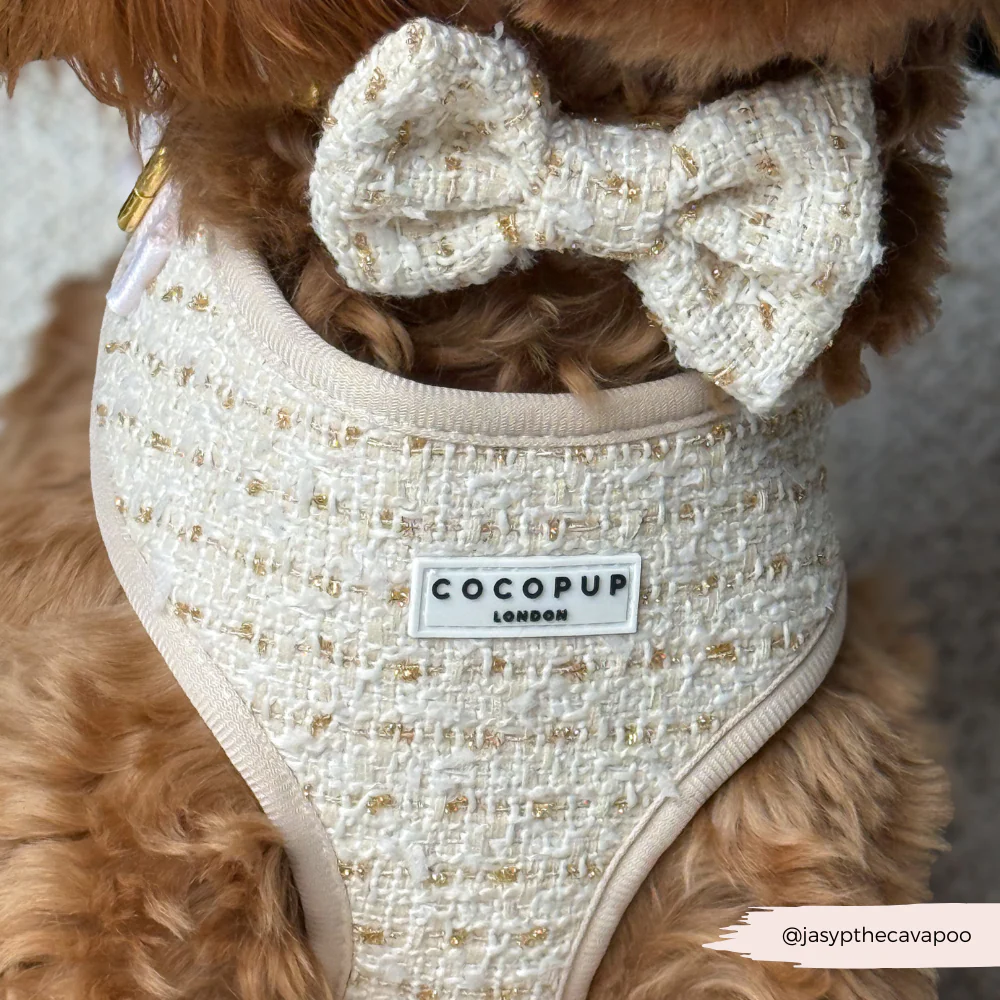 Vanilla Textured Tweed Bow Tie - Image 3
