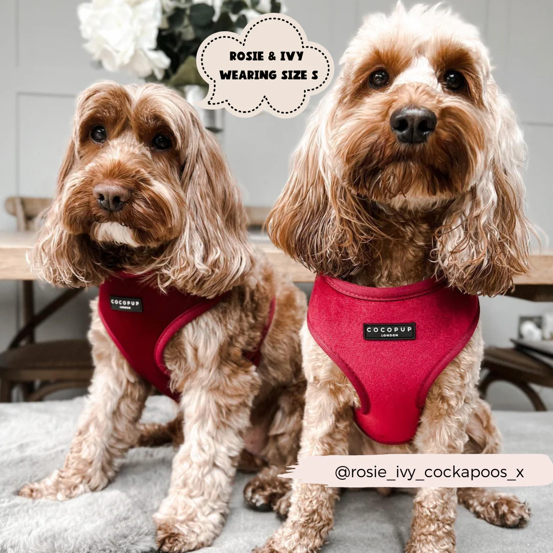 LUXE Velvet Adjustable Neck HARNESS - Berry Red - Image 10