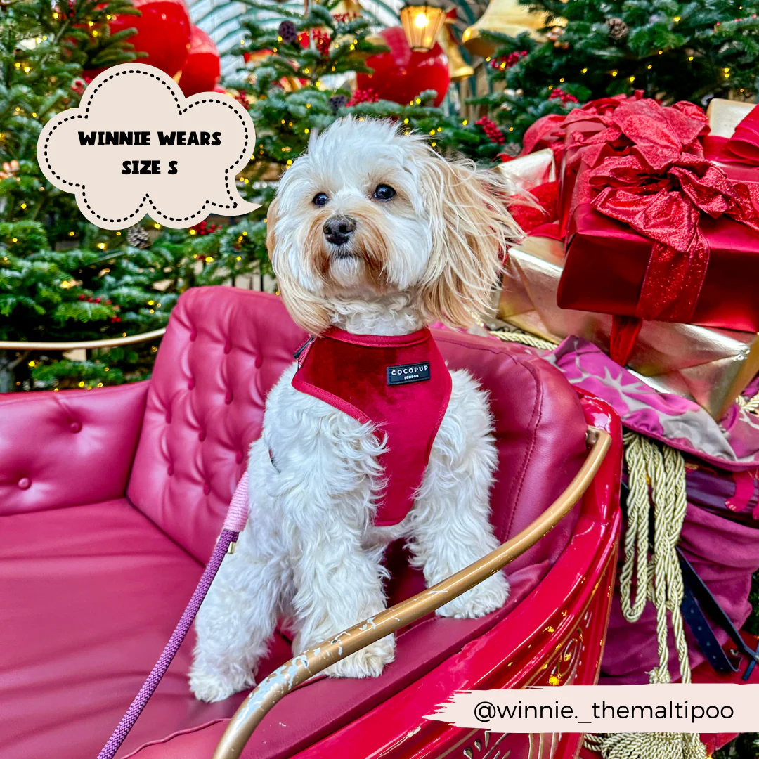 LUXE Velvet Adjustable Neck HARNESS - Berry Red - Image 17
